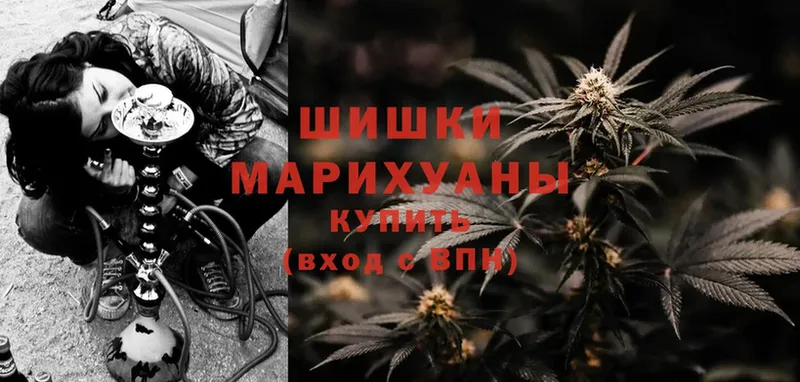 Бошки марихуана White Widow  Сарапул 